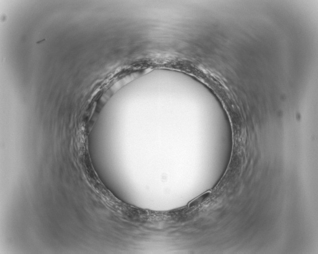 X0000087691349200705251658