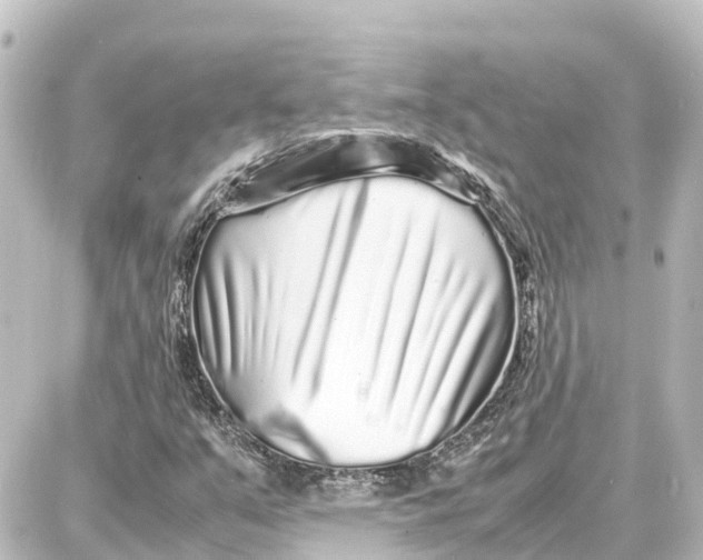 X0000087691351200705251658