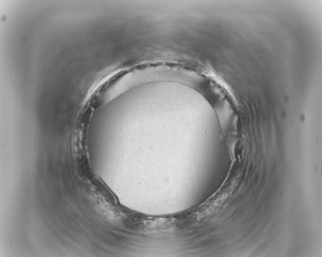 X0000087691352200705251658