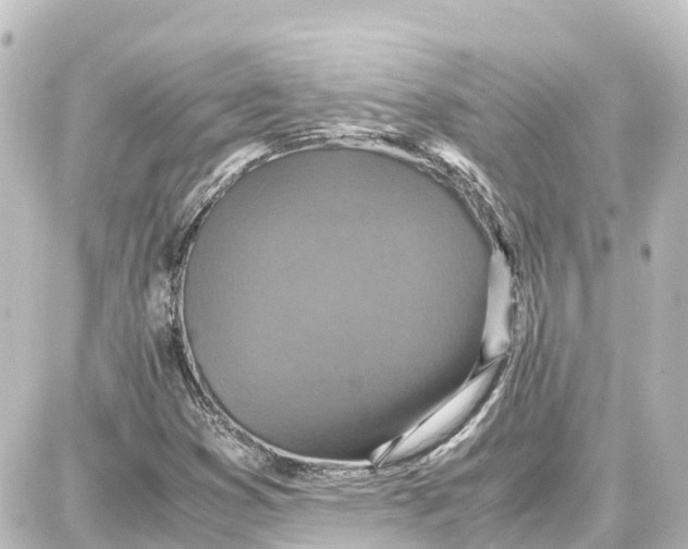 X0000087691353200705251658