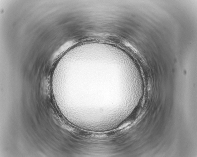 X0000087691354200705251658