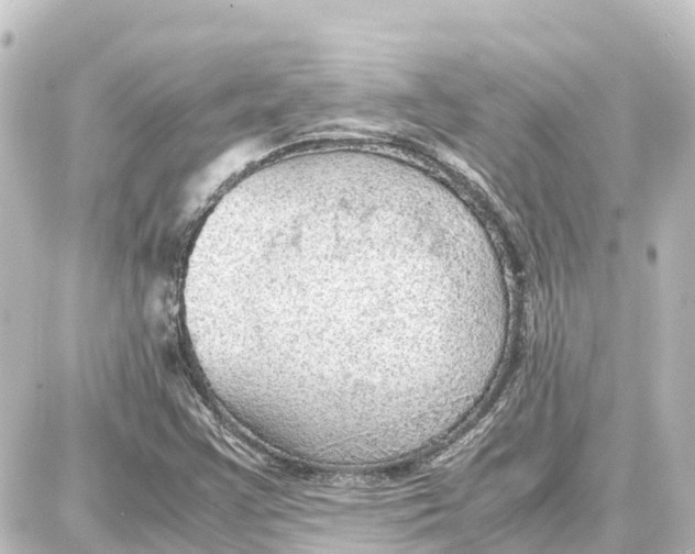 X0000087691355200705251658