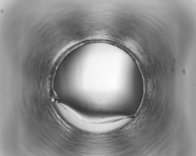 X0000087691356200705251658