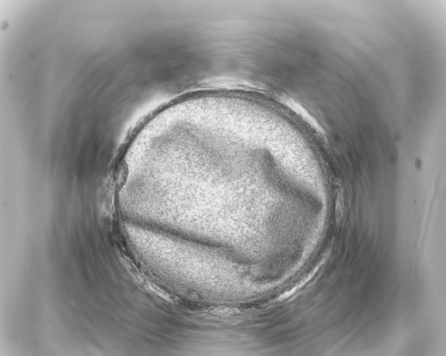 X0000087691358200705251658