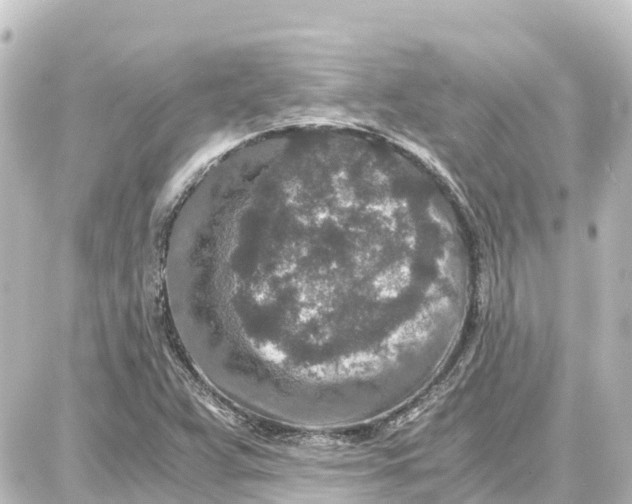 X0000087691359200705251658