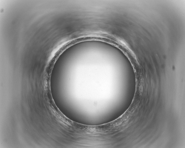 X0000087691360200705251658