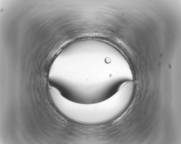 X0000087691361200705251658