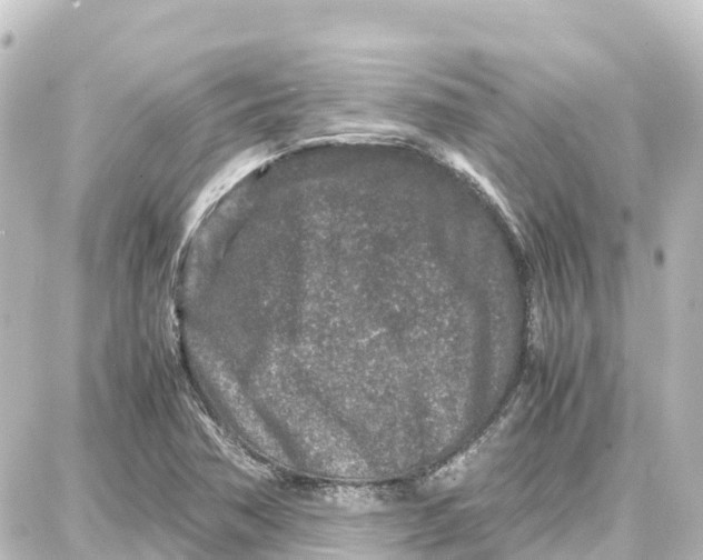 X0000087691362200705251658