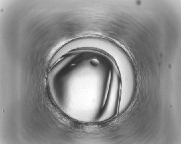 X0000087691363200705251658