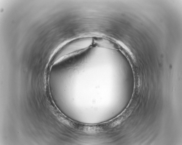 X0000087691364200705251658