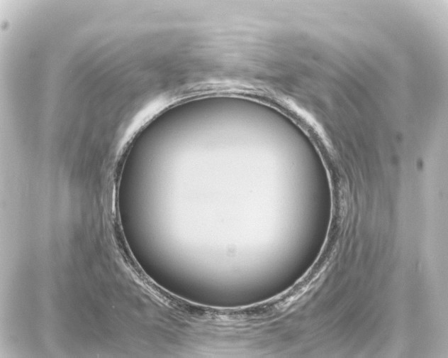 X0000087691365200705251658