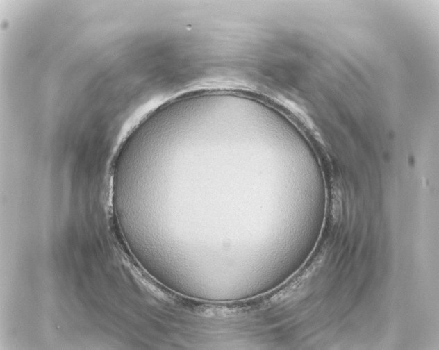 X0000087691366200705251658