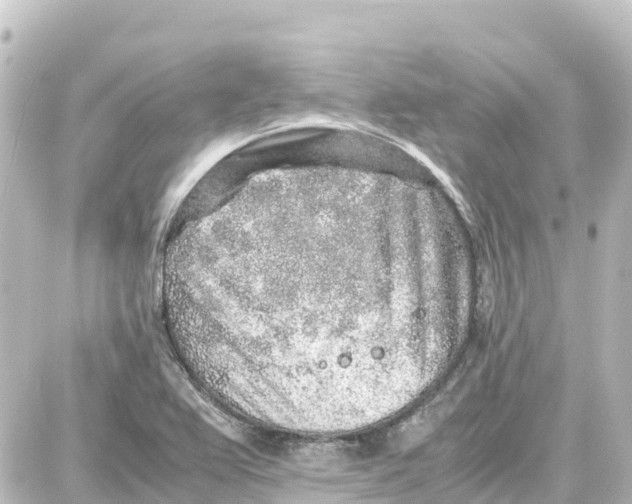 X0000087691367200705251658