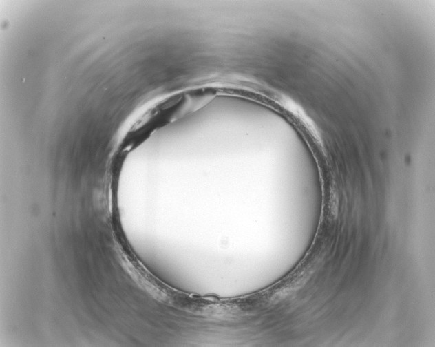 X0000087691368200705251658