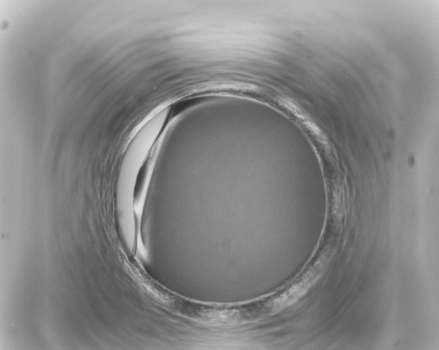 X0000087691369200705251658