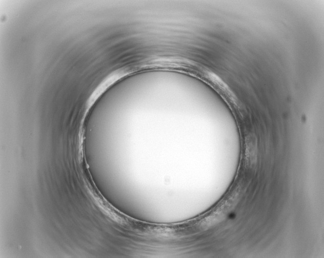 X0000087691370200705251658