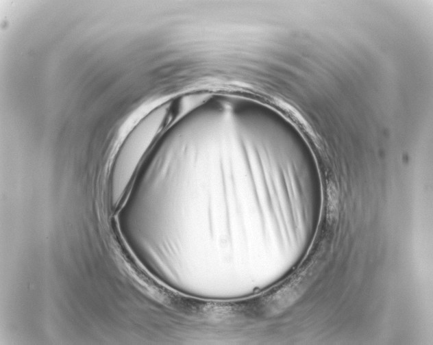 X0000087691371200705251658