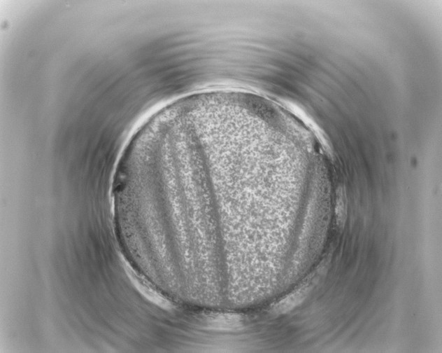 X0000087691372200705251658