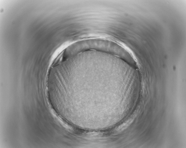 X0000087691373200705251658