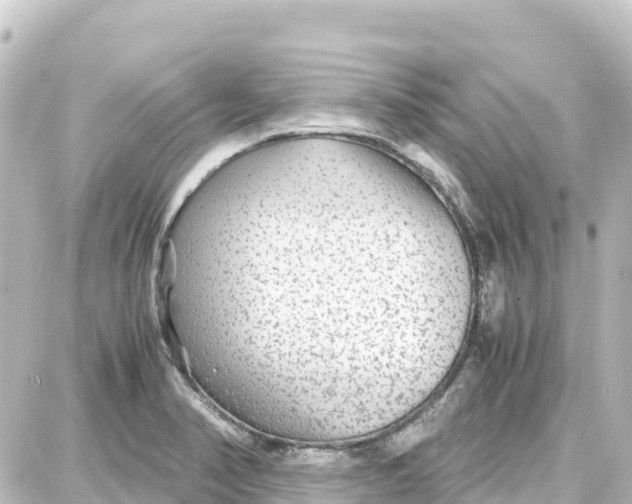 X0000087691374200705251658