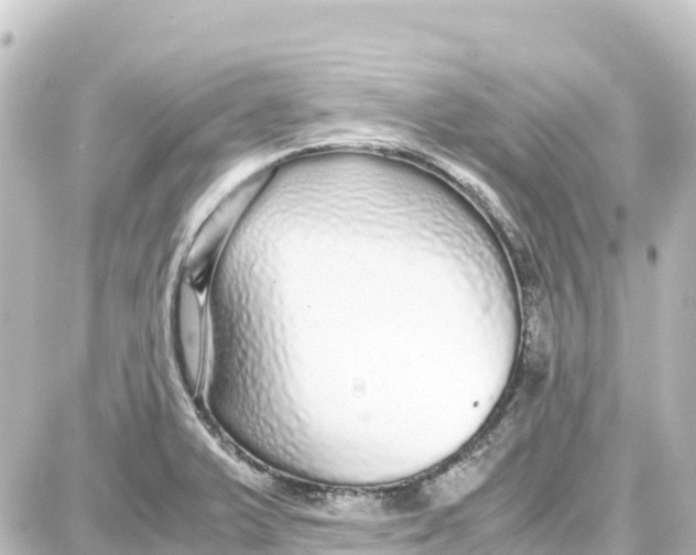 X0000087691375200705251658