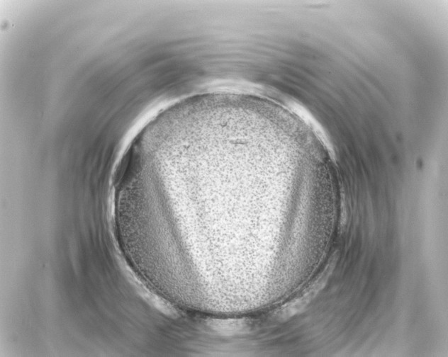 X0000087691376200705251658