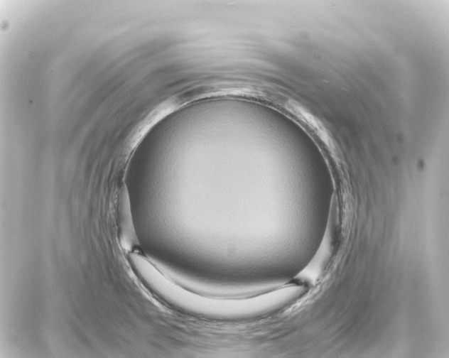 X0000087691377200705251658