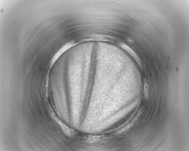 X0000087691378200705251658