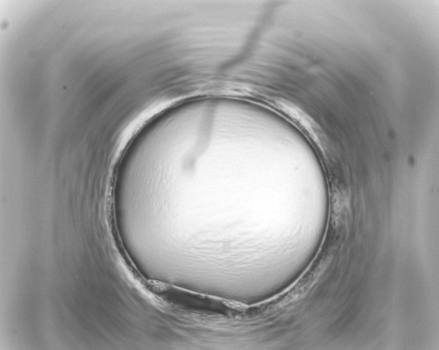 X0000087691379200705251658