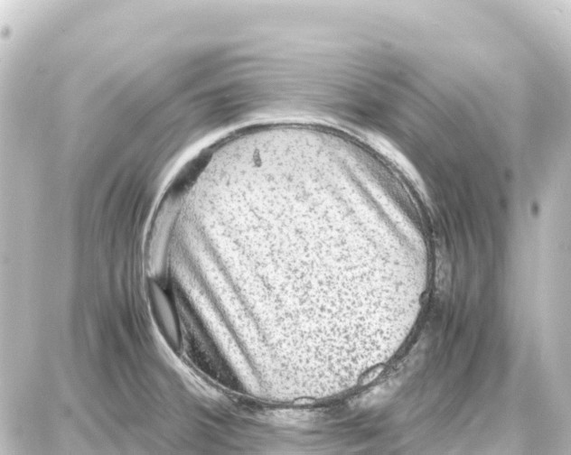 X0000087691380200705251658