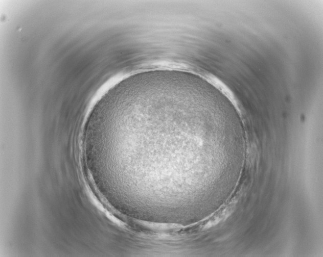 X0000087691381200705251658