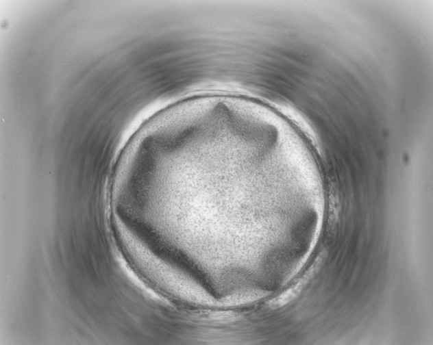 X0000087691382200705251658