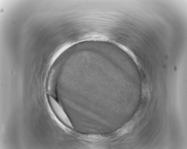 X0000087691383200705251658