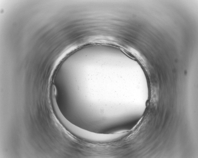 X0000087691384200705251658