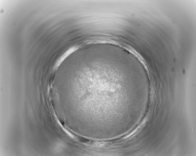 X0000087691385200705251658