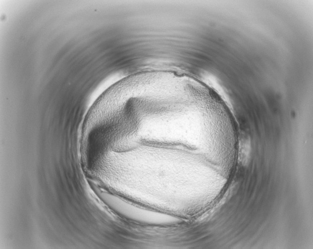 X0000087691386200705251658