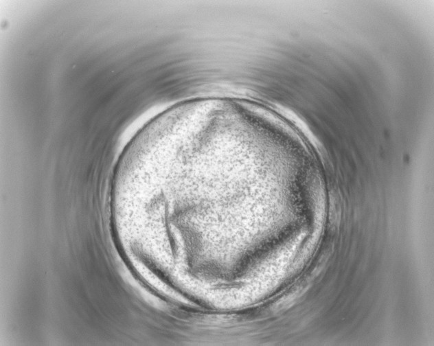 X0000087691387200705251658