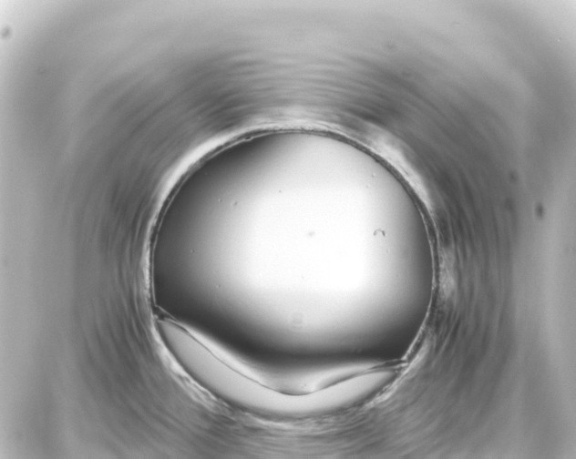 X0000087691388200705251658