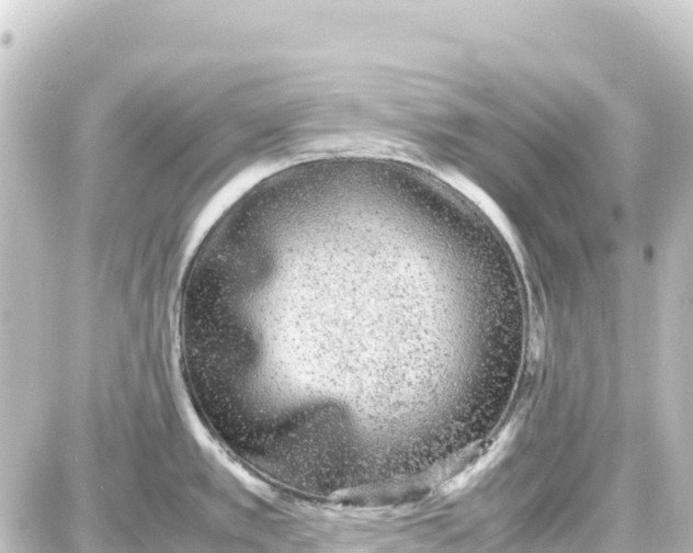 X0000087691389200705251658