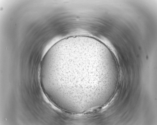 X0000087691390200705251658