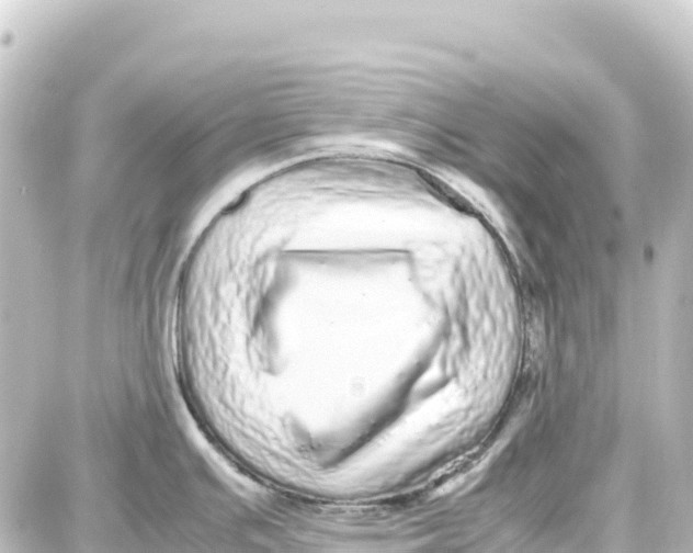 X0000087691391200705251658