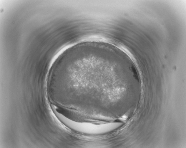 X0000087691392200705251658