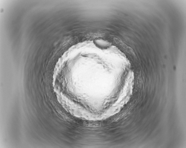 X0000087691393200705251657