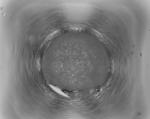 X0000087691394200705251657