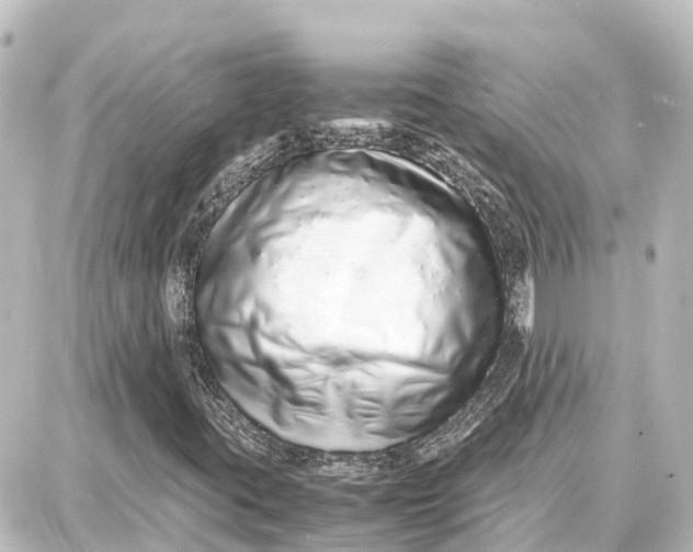 X0000087691395200705251657