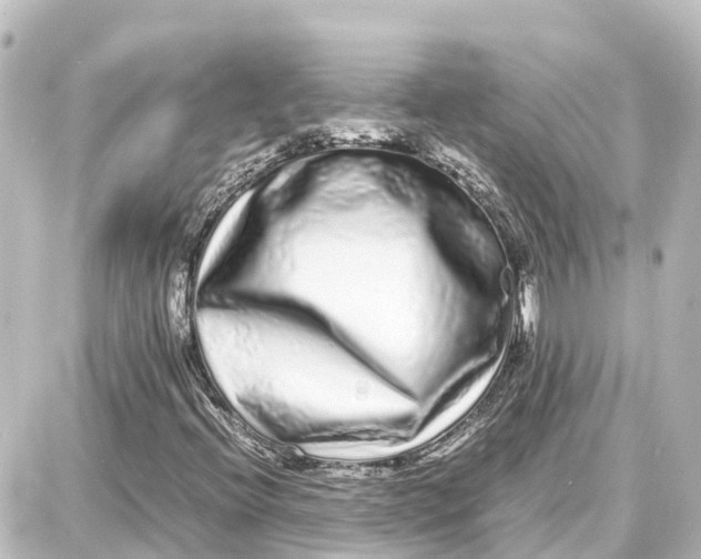 X0000087691396200705251657