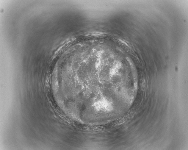 X0000087691397200705251657