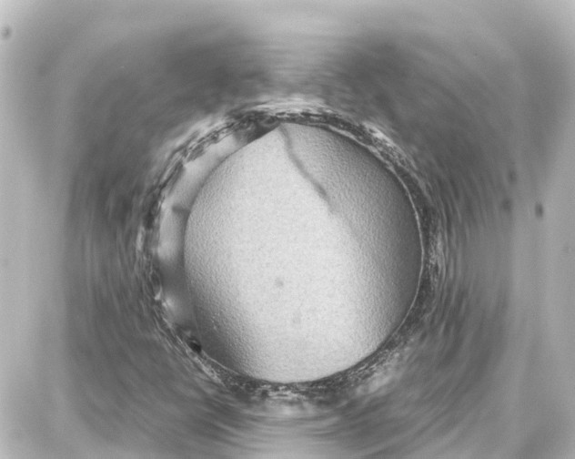 X0000087691398200705251657