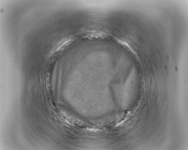 X0000087691399200705251657