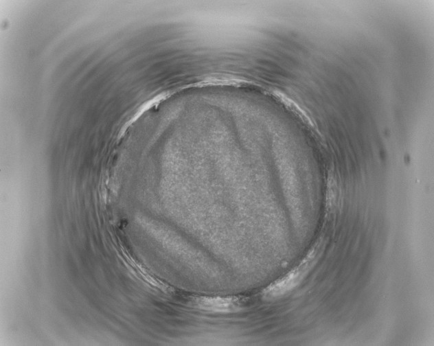 X0000087691401200705251657